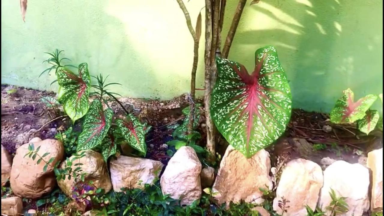 Eco Beverly Hills